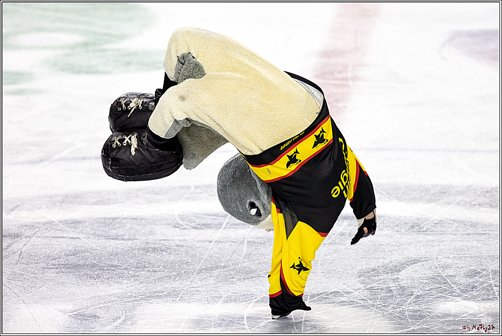 DEL;  Koelner Haie - Straubing Tigers; Koeln, 01.03.2020